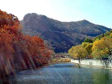 餐厅装饰效果图大全（餐厅装饰效果图大全集）